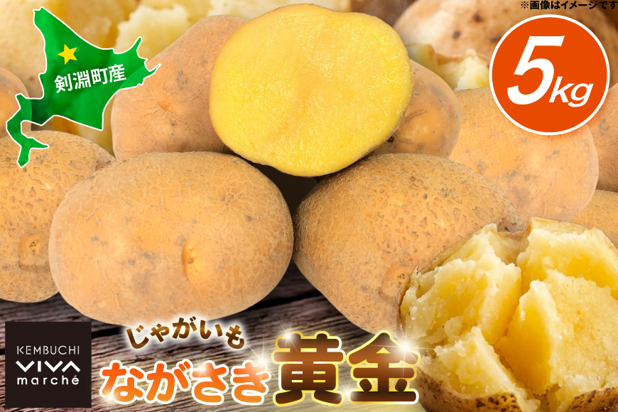 じゃがいも ながさき黄金 5kg [けんぶちVIVAマルシェ 北海道 剣淵町 14656386] ジャガイモ 芋 いも ポテト 野菜 秋野菜 秋 常備野菜 カレー シチュー ポテトサラダ