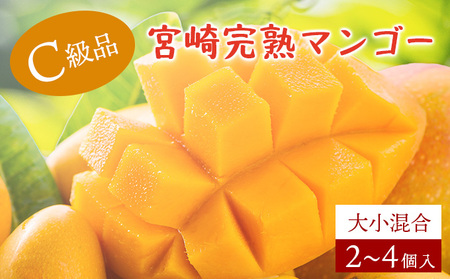 ＜先行予約＞【生産者応援】糖度13度以上！平均15度以上！ご家庭用 宮崎完熟マンゴー1.5～1.7 kg（2Lサイズ2玉入の約2倍！）_K005-019