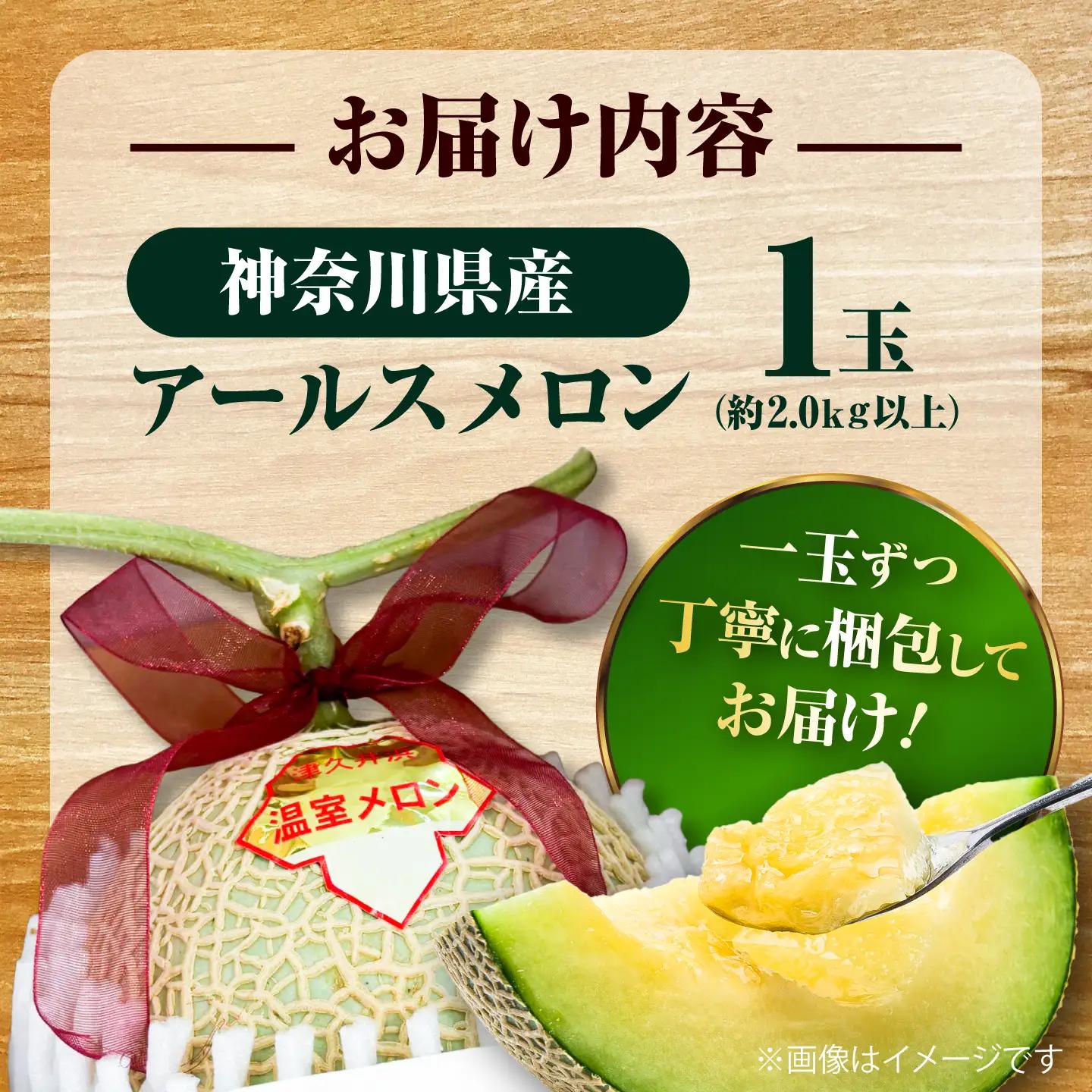 【数量限定30セット】神奈川県産 津久井浜 温室メロン アールスメロン 大玉 糖度16度前後 約2.0kg以上 1玉【小林マルモ農園】[AKJG001]