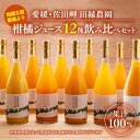 【ふるさと納税】【数量限定】【愛媛県産】田縁農園の無添加100% ストレートジュース12種おまかせセット 720ml 全12種 ｜ 温州みかん 清見タンゴール 伊予柑 河内晩柑 ぽんかん ニューサマーオレンジ せとか ひょうかん 不知火 かんぺい ※2025年1月頃より順次発送予定