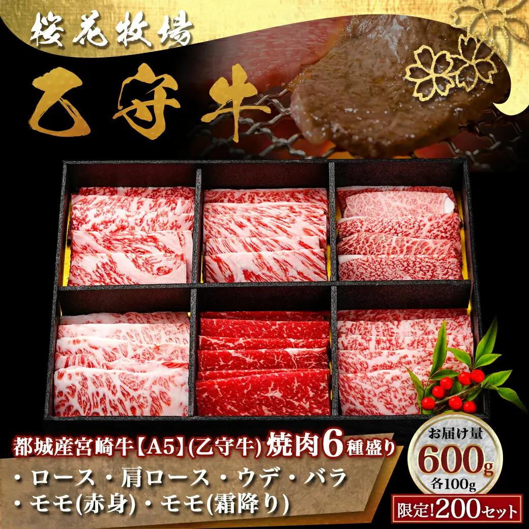 ≪限定200セット≫隔月6回お届け!【宮崎牛A5】焼肉6種盛り(乙守牛）〔T192-6-6501〕_(都城市) 都城産宮崎牛 A5 焼肉6種盛 各100g ロース/肩ロース/ウデ/バラ/モモ(赤身)/