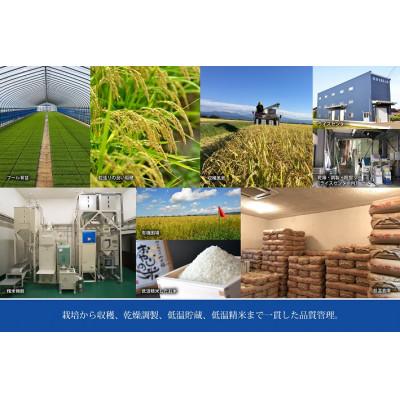 ふるさと納税 鶴岡市 山形県鶴岡市 令和6年産 おやじの米 JAS有機栽培米 雪若丸 精米 5kg |  | 03