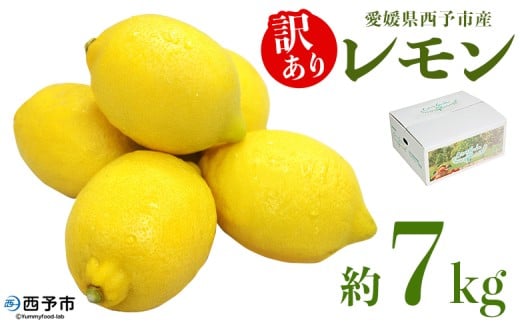 ＜愛媛県西予市産 訳あり レモン 約7kg＞ ワケアリ 家庭用 ご自宅用 7キロ れもん 檸檬 柑橘 果物 フルーツ 食べて応援 国産 不揃い 宇都宮物産【常温】