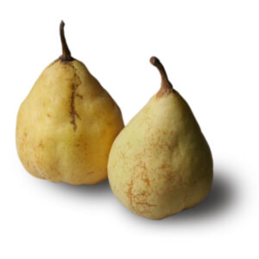 ご自宅用ルレクチェ3kg