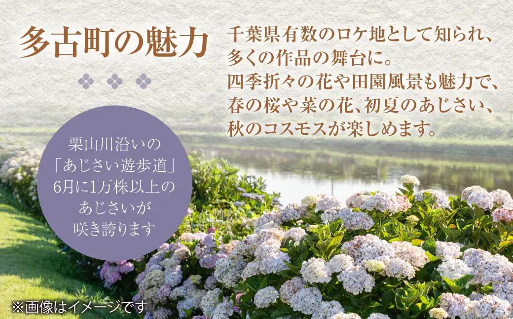 「ますがたや旅館」1泊素泊まりペア宿泊券 成田空港からほど近い家庭的な雰囲気の隠れ宿_旅行券・チケット 宿泊券  TAKR003