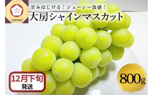 【2025年12月下旬発送】 シャインマスカット 大房 800g 青森産
