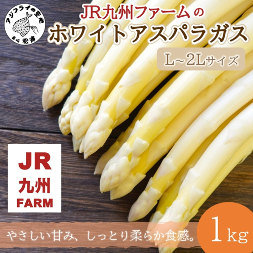 JR九州ファームのホワイトアスパラガス L～2Lサイズ 1kg ( アスパラガス ホワイトアスパラガス 国産 送料無料 長崎県 松浦市 )【B3-101】