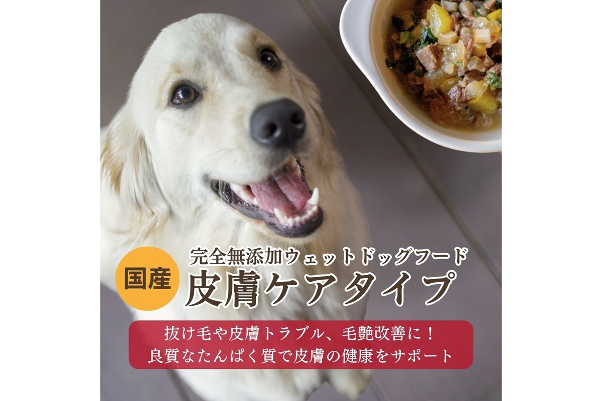 [無添加ウェットドッグフード] 皮膚ケアタイプ (5パック)