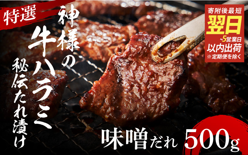 
                  【 スピード発送 】特選神様の牛ハラミ 秘伝たれ漬け 500g（味噌だれ1p）
                