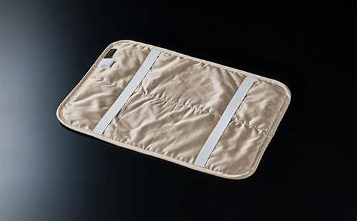 「毎日シルクに包まれて眠りたい」【中わた 富岡産シルク100％】 枕パット シャンパンゴールド シルク 絹 贈り物 ギフト 国産 F21E-456