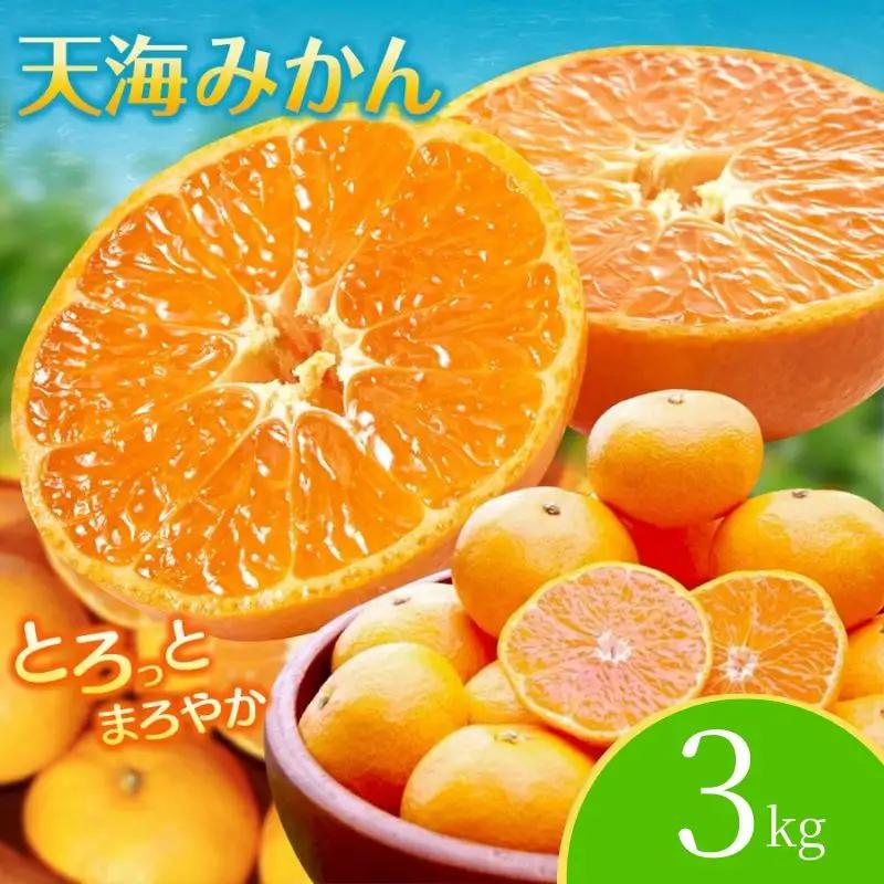 【先行予約】完熟早生みかん　宮川早生３kg※2026年12月から順次発送予定※ 【期間限定・12/20まで受付】/ 和歌山県 ミカン フルーツ 果物 柑橘 田辺市 【nak005-1】