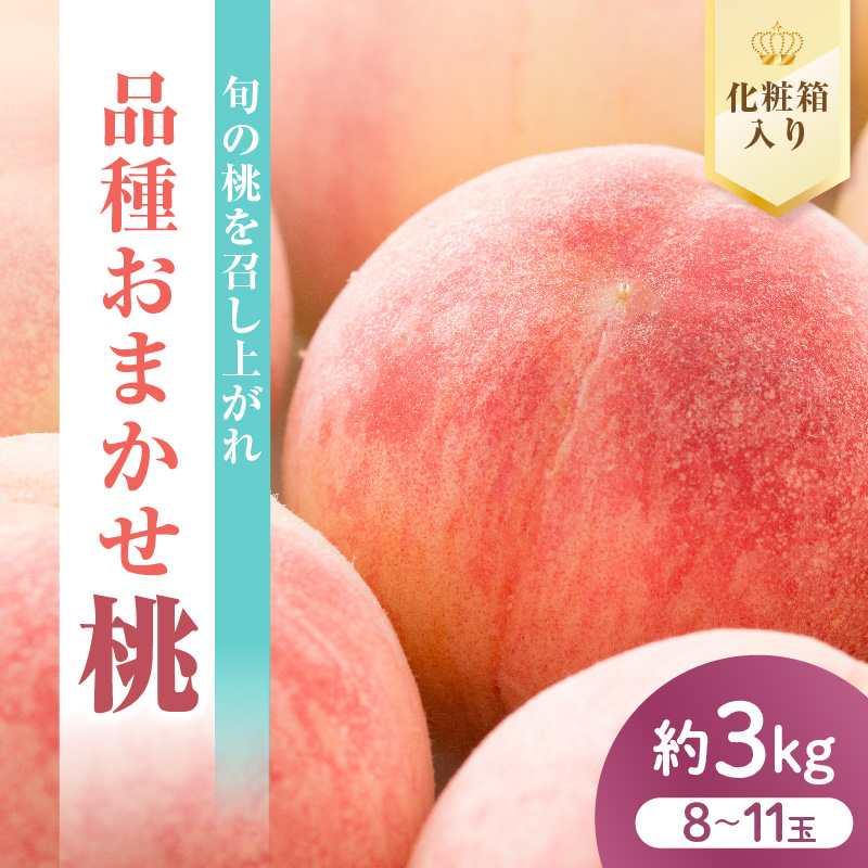 【先行予約】 数量限定 令和8年産 もも 化粧箱入 8～11玉 品種 おまかせ 2026年8月中下旬～9月上旬頃 お届け予定