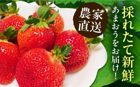 【1月発送】あまおう DXG 1080g (270g以上×4P) 《豊前市》【山口農園】果物 いちご イチゴ 苺 [VDE003]