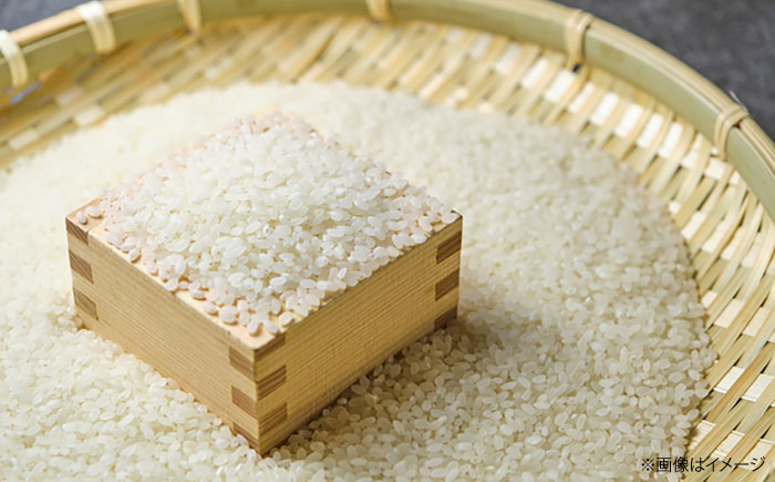 【雲南市産米使用】ポン菓子詰め合わせ（米ポン/玄米ポン各4袋）ぽん菓子 ポン菓子 お菓子 駄菓子 おやつ グルテンフリー 島根県雲南市/株式会社大東農産加工場 [AIEG009]