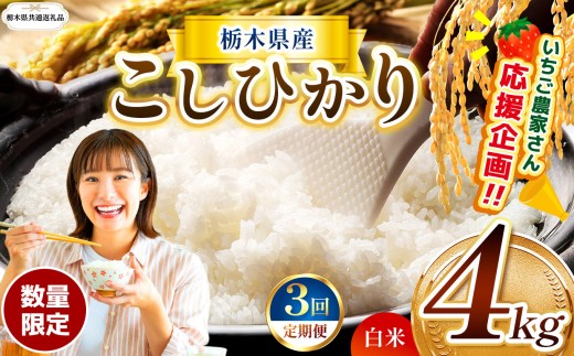 【栃木県共通返礼品】【先行予約】【定期3回】訳あり数量 限定 定期便 令和8年度 栃木県産コシヒカリ 約 4kg | 数量限定 こしひかり 精米 白米 米 ごはん おいしい 密閉パック ふるさと納税 那珂川町 栃木県