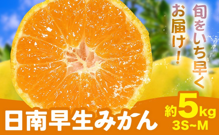 
                  みかん 日南早生みかん 早生 みかん 約5kg 3S-Mサイズ どの坂果樹園《10月上旬-10月下旬頃出荷》和歌山県 日高川町 産地直送 柑橘類 みかん 旬 フルーツ 果物 柑橘 送料無料
                