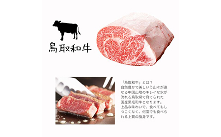 鳥取県産 焼肉セット 1kg(３?5人前) 牛肉 豚肉 鶏肉 焼き肉 バーベキュー BBQ ファミリーセット_T2600251