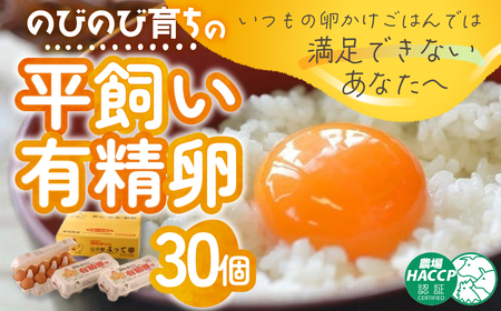 のびのび育ち平飼い「有精たまご」卵30個 卵