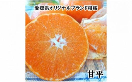 【2月中旬から発送】 希望の島 ジャンボ甘平 特大（6L以上） 約1kg（2玉） 化粧箱入  ( 柑橘 みかん 甘平 カンペイ  みかん 甘平 カンペイ 柑橘 中島 みかん 甘平 カンペイ 柑橘 みか