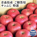 【ふるさと納税】≪内容量が選べる!≫青森県産 特選 サンふじ 約5kg 約10kg 【宮川商店 青森りんご 平川市産】11月～4月発送 青森 平川 りんご リンゴ 林檎 フルーツ レビューキャンペーン