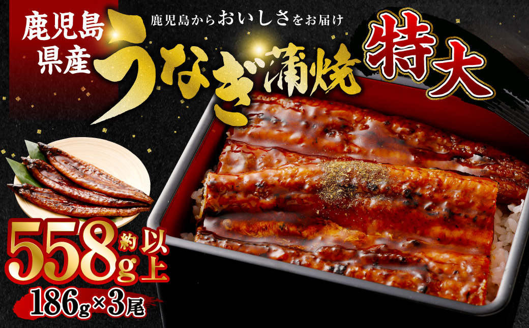 BSR-325鹿児島県産 特大サイズ うなぎ蒲焼 3尾