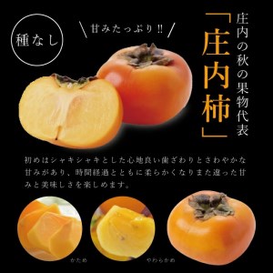 SB0476　酒田の果物専門店厳選　庄内柿(種なし柿)　約5kg(26玉入) 【贈答用仕様】