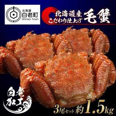 ふるさと納税 白老町 毛蟹 ボイル済み 冷凍 3尾セット 約1.5kg BM049