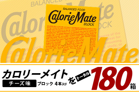 【3回定期便】≪チーズ味≫ カロリーメイトブロック 4本入り 計60箱 ×3回 合計180箱【徳島 那賀 大塚製薬 カロリーメイト チーズ ビタミン ミネラル たんぱく質 脂質 糖質 5大栄養素 バラ