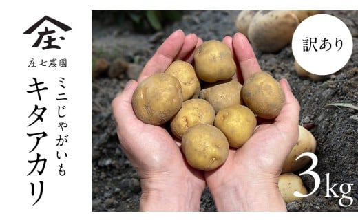 【訳あり】ミニ ジャガイモ ( キタアカリ )  3kg 田んぼで作ったころころジャガイモ 新じゃが じゃがいも ジャガイモ 北あかり 芋 大容量 家庭用 小粒 野菜 根菜 産地直送 新鮮 5000円