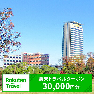 【ふるさと納税】東京都多摩市の対象施設で使える楽天トラベルクーポン 寄付額100,000円（クーポン額30,000円）