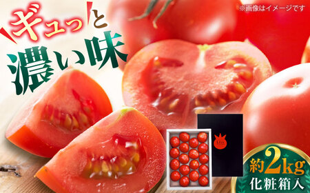 リサフルーツトマト 約2kg / トマト とまと 野菜 【株式会社 堀】[ATDA003]