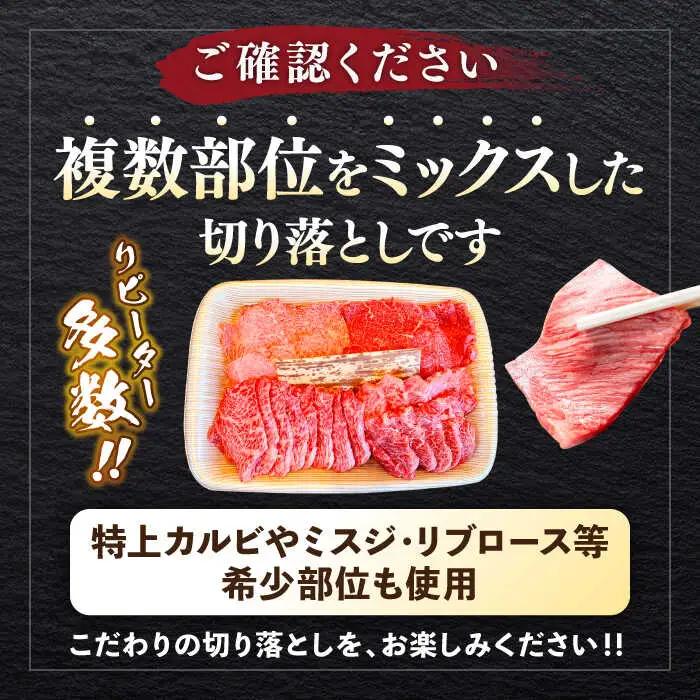 【全12回定期便】葉山牛1kg　焼肉用ミックス 牛肉（ロース、モモ、カルビ等 4種類 ) 食べ比べ[ASBD036]