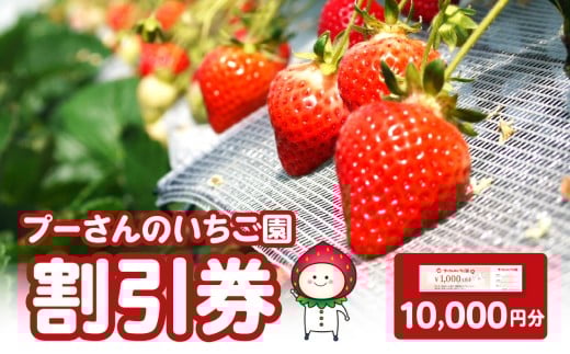 プーさんのいちご園　割引券（10,000円分）【レターパック】 イチゴ狩り あまおう 恋みのり 紅ほっぺ さがほのか かおり野 おいCベリー あまえくぼ よつぼし 高設栽培 多段式 バリアフリー 車椅子 子供 品種 完熟 摘みたて 新鮮 家族 清潔 福岡県 八女市