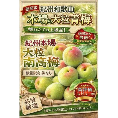 ふるさと納税 有田川町 大粒南高青梅 2L〜3Lサイズ 計10kg