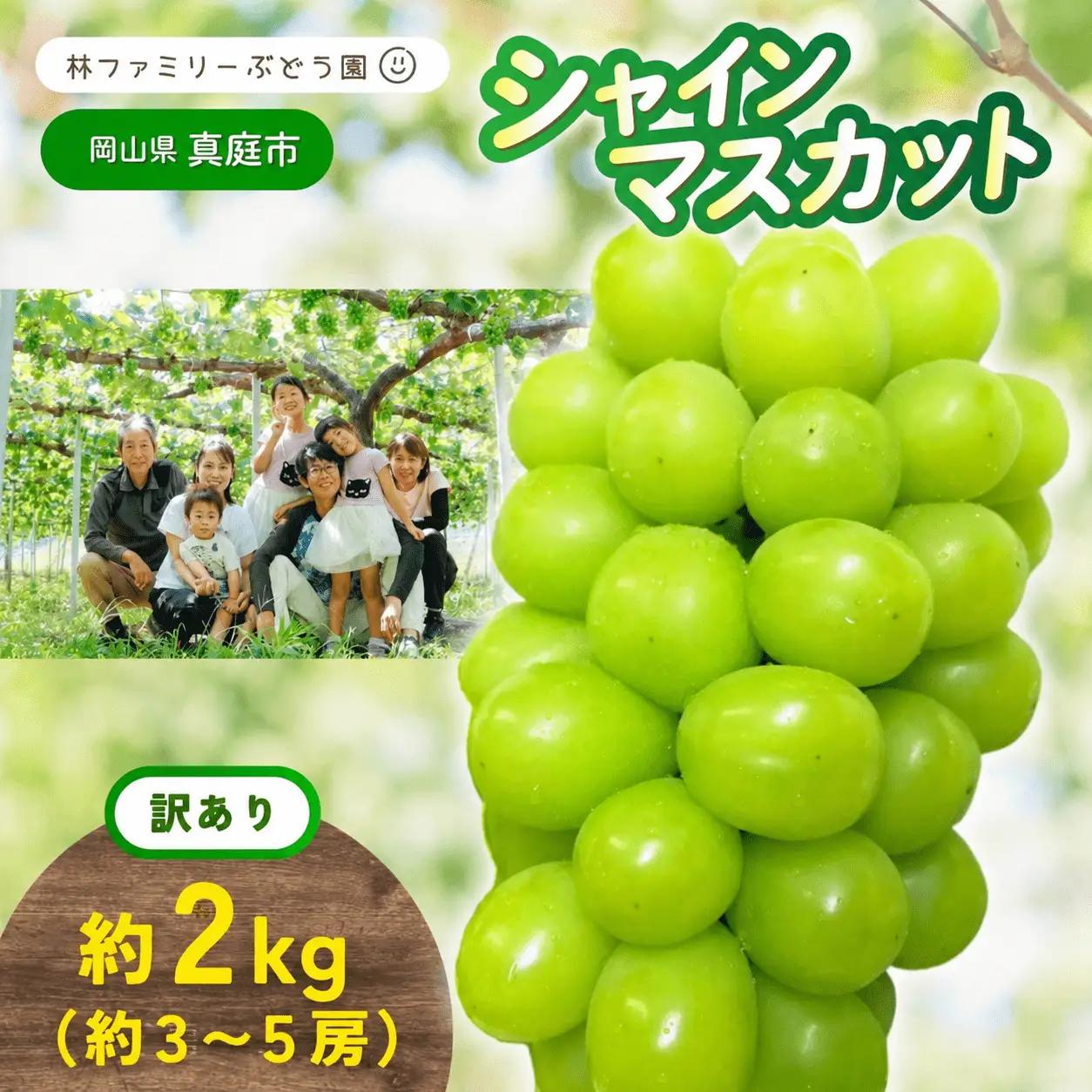 【訳あり】 ※2026年予約！※ 岡山県産 林ファミリーのシャインマスカット 約2kg（約3～5房） / ぶどう ブドウ 岡山 真庭市 【hfbd022-02】