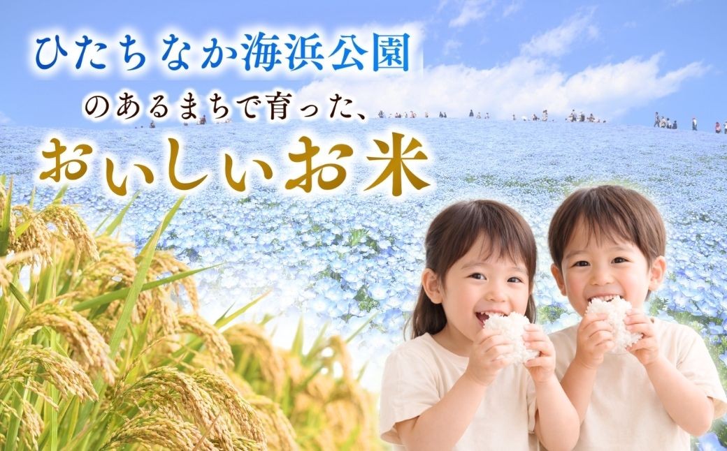 お米 米 こめ コメ 白米 精米 ごはん ご飯 ライス にじのきらめき ニジノキラメキ 5kg