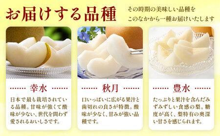 おまかせ梨 秀品 約1.8kg 日本フルーツ株式会社《8月上旬-10月末頃出荷》熊本県 荒尾市 なし 梨 果物 フルーツ デザート ギフト ご贈答