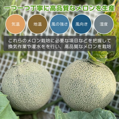 【内山農園】いばらきメロンコンテスト2025クインシーメロン(2玉3kg)2026年5月より発送開始【配送不可地域：離島・沖縄県】