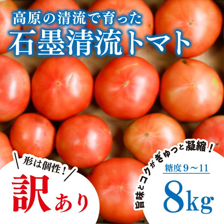 【ふるさと納税】＜先行予約＞ 訳あり トマト 8kg そのままでも 美味しい 【石墨清流トマト】糖度9～11度 久万高原町 トマトソース ｜ トマト とまと 自然栽培 野菜 カレー 濃縮 安心 酸味 甘味 清流 料理 農家 旨み ※離島への配送不可 ※2025年7月下旬頃より順次発送予定