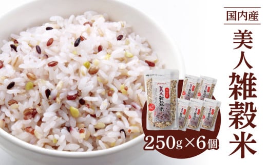 国内産 美人雑穀米 250g×6個 計1500g_Gr009