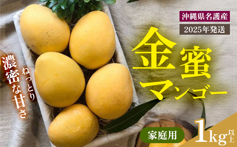 
            【2025年 先行予約 数量限定】金蜜マンゴー 家庭用 1kg以上 家庭用 先行予約 沖縄 甘味 糖度 濃厚 おいしい お土産 まんごー きんみつ ギフト プレゼント 果実 くだもの 果物 ふるさと納税 送料無料 トロピカル 名護市 フルーツ
          