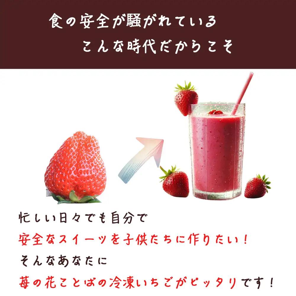 【6ヶ月定期便】越後姫 冷凍いちご 1kg×2袋 いちご フルーツ