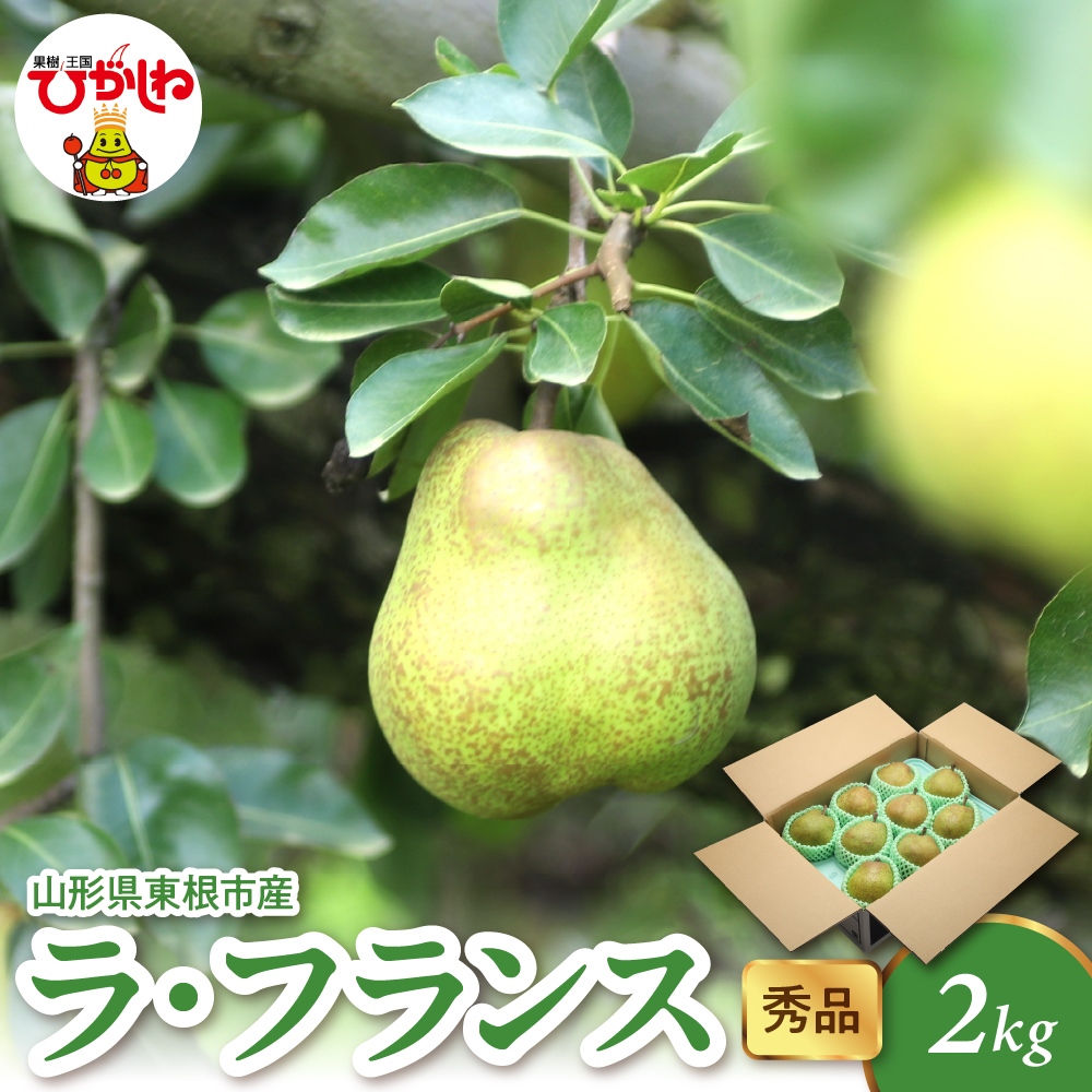 【2026年産】 ラ・フランス 2kg（4-9玉） 秀品 山形県 東根市 千笑花夢提供 hi082-020-r8 2kg（4-9玉）
