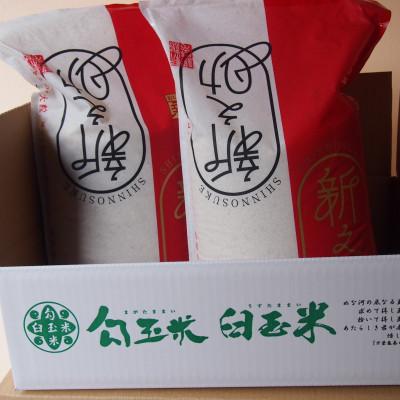 ふるさと納税 糸魚川市 令和6年産 新之助5kg×2袋　精米 |  | 03