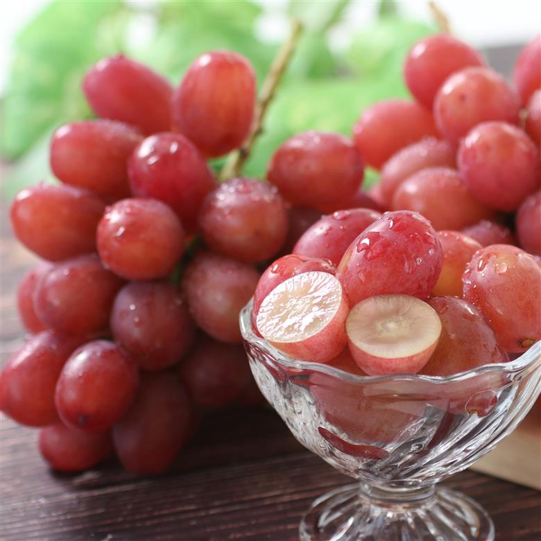 【産地厳選!】長野県産・クイーンルージュ（約1kg）秀品 10月中旬より発送 信州 南信州 高森町 産地直送 果物 くだもの ぶどう 旬のぶどう 山下屋荘介