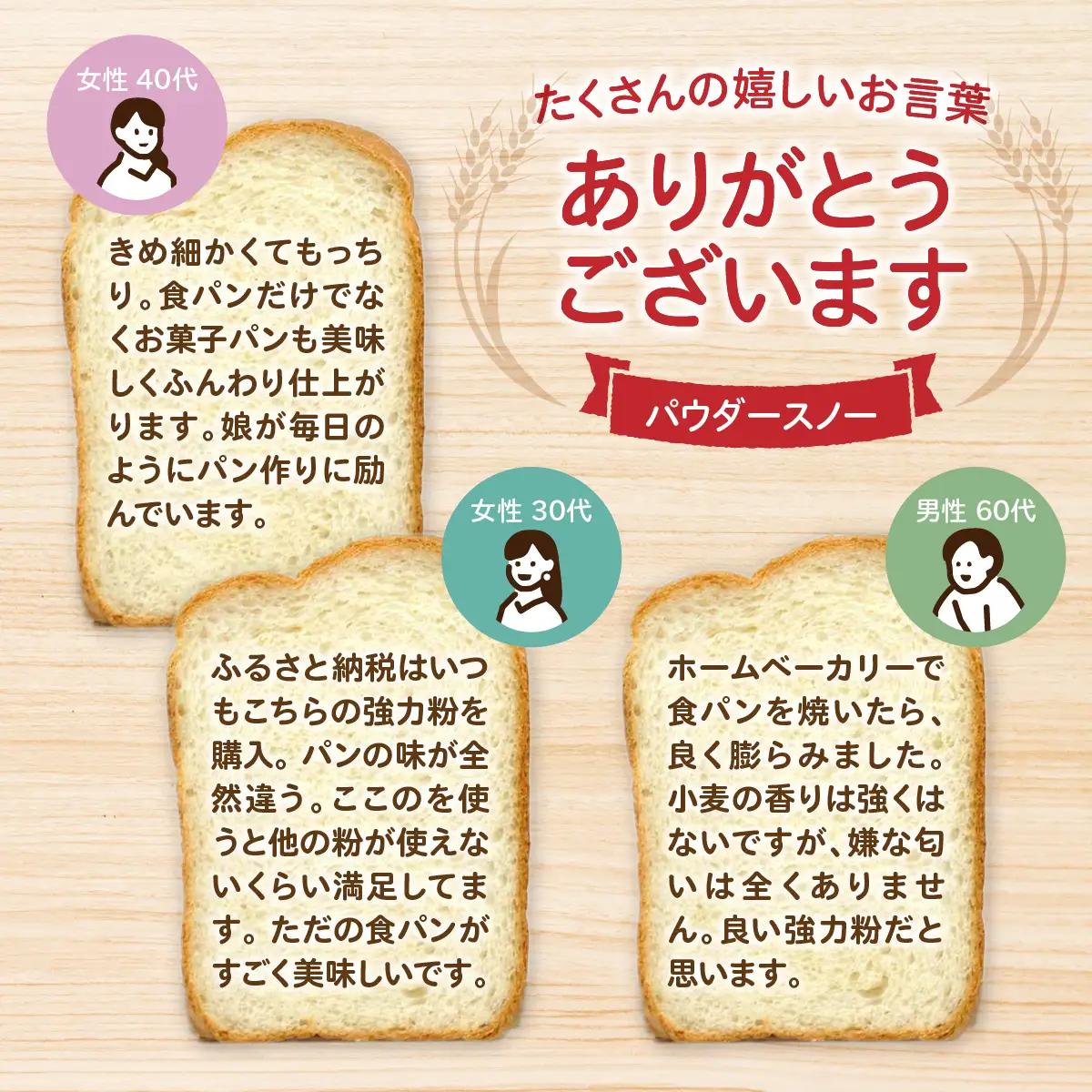 北海道産 小麦粉 「春よ恋」「ゆめちから」ブレンド小麦粉 パウダースノー（パン用強力粉）10kg MROBI012