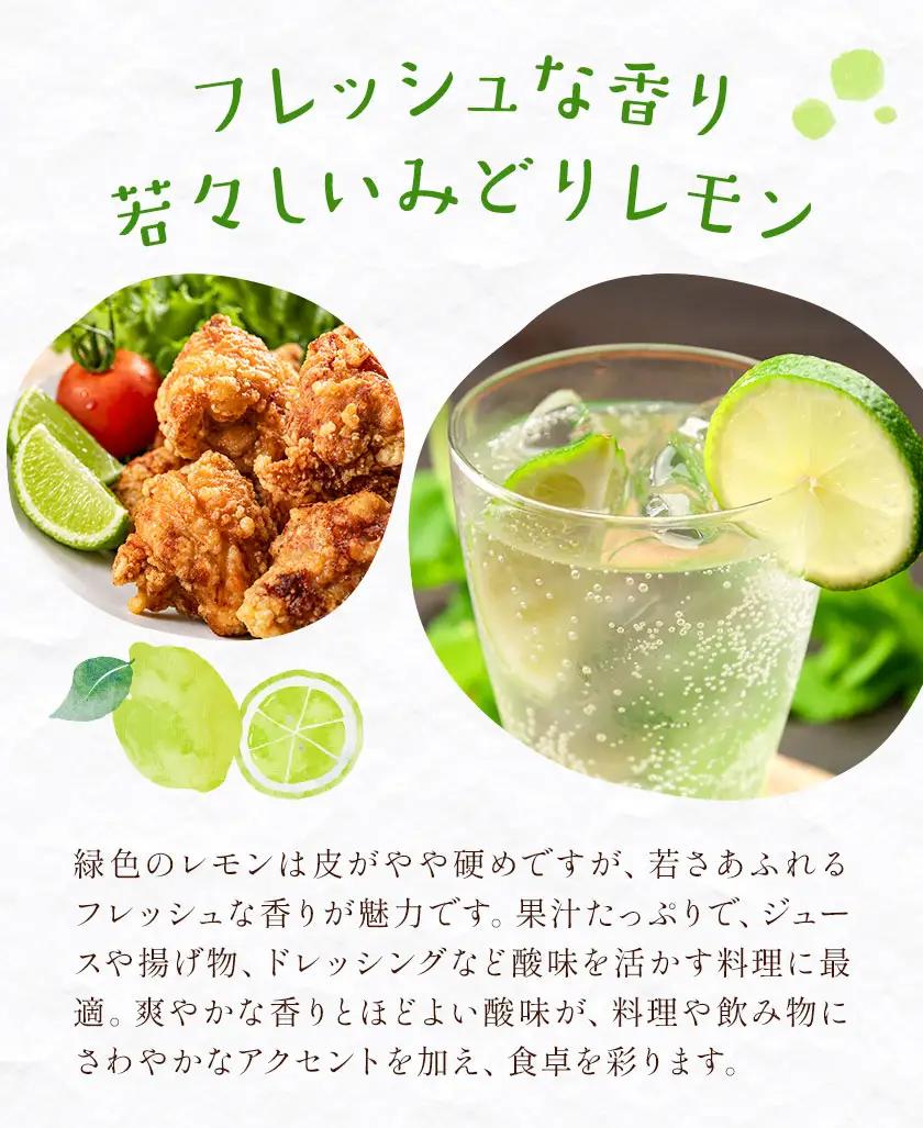 レモン 秀品 緑色 10kg 株式会社農業福祉研究機構