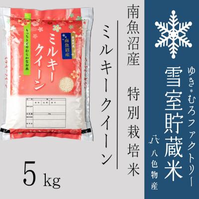 ふるさと納税 南魚沼市 【2025年11月下旬発送】雪室貯蔵米 南魚沼産ミルキークイーン5kg | 
