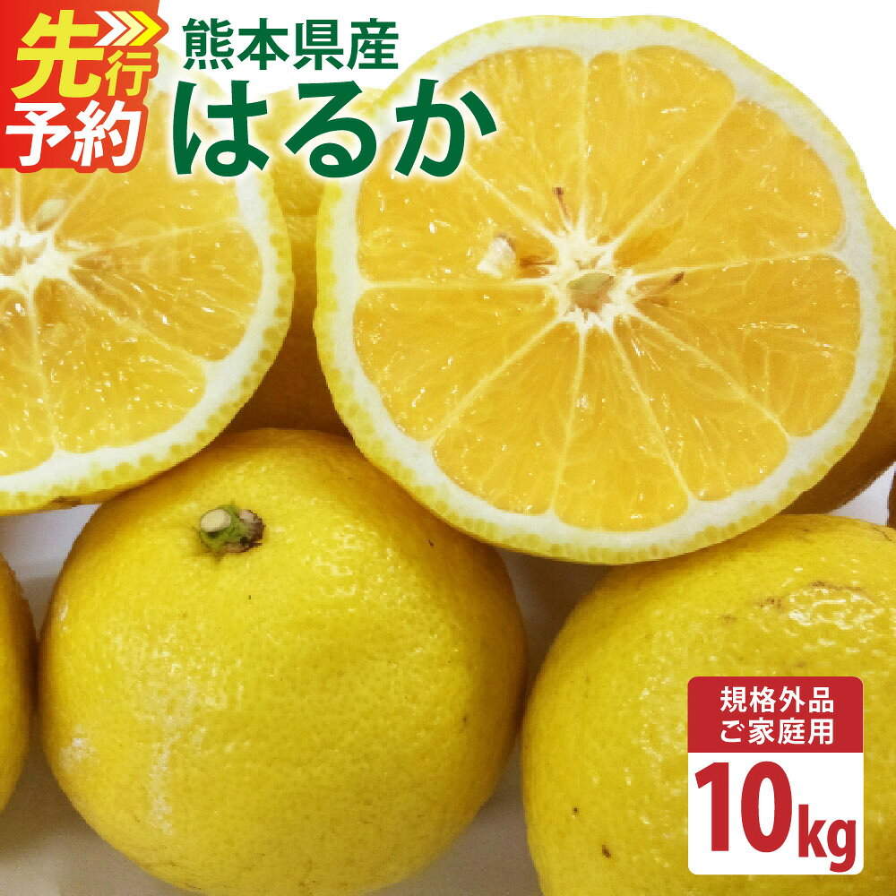 【ふるさと納税】＜ R8年熊本地震復興支援 ＞ 【規格外品】はるか ご家庭用 10kg 12000円 1万2000円 サイズ不選別 サラダみかん 訳あり みかん ミカン フルーツ 果物 くだもの 柑橘 熊本県産 九州産 先行予約 送料無料 【2027年2月上旬～3月下旬迄発送予定】