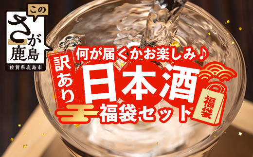【訳あり】熟成貯蔵酒 日本酒バラエティセット｜純米大吟醸・純米吟醸など数種類からお届け 清酒 飲み比べセット 佐賀県鹿島市 D-181